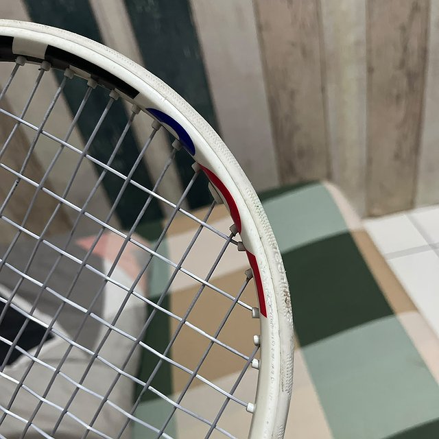 Tecnifibre Tfight 305