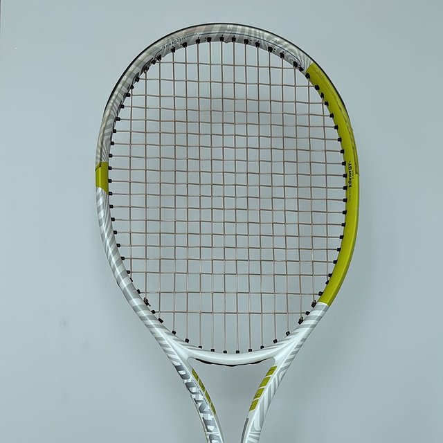 Dunlop SX 300