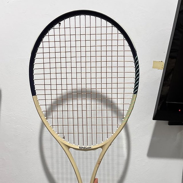 Wilson Triumph Roland Garros