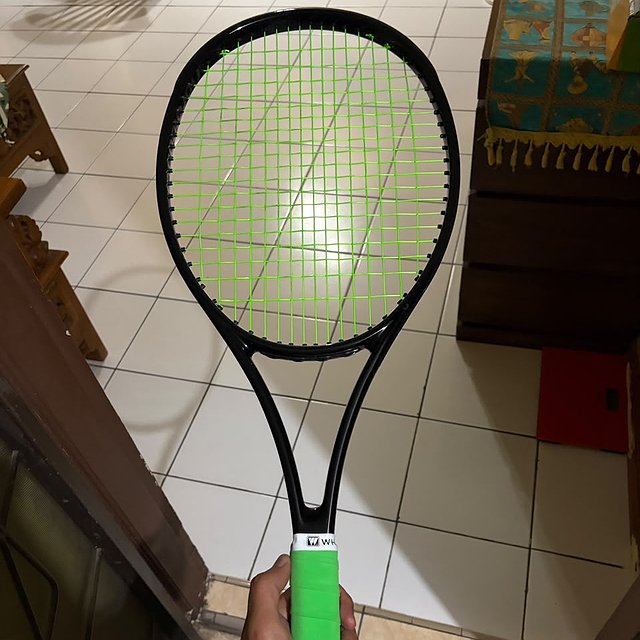Nordicdots Model 100